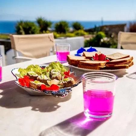 Lejlighed Luxury With Spectacular View In Mykonos! Mykonos Town